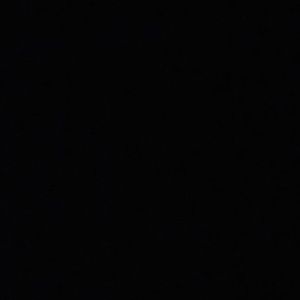 Meet your Posher, Shawn